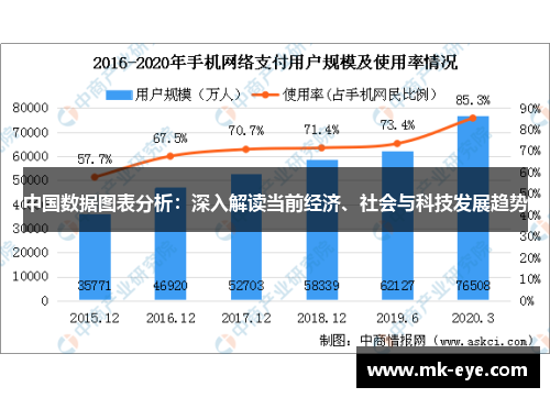 中国数据图表分析：深入解读当前经济、社会与科技发展趋势