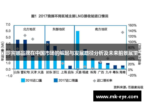 莎宾娜品牌在中国市场的崛起与发展路径分析及未来前景展望